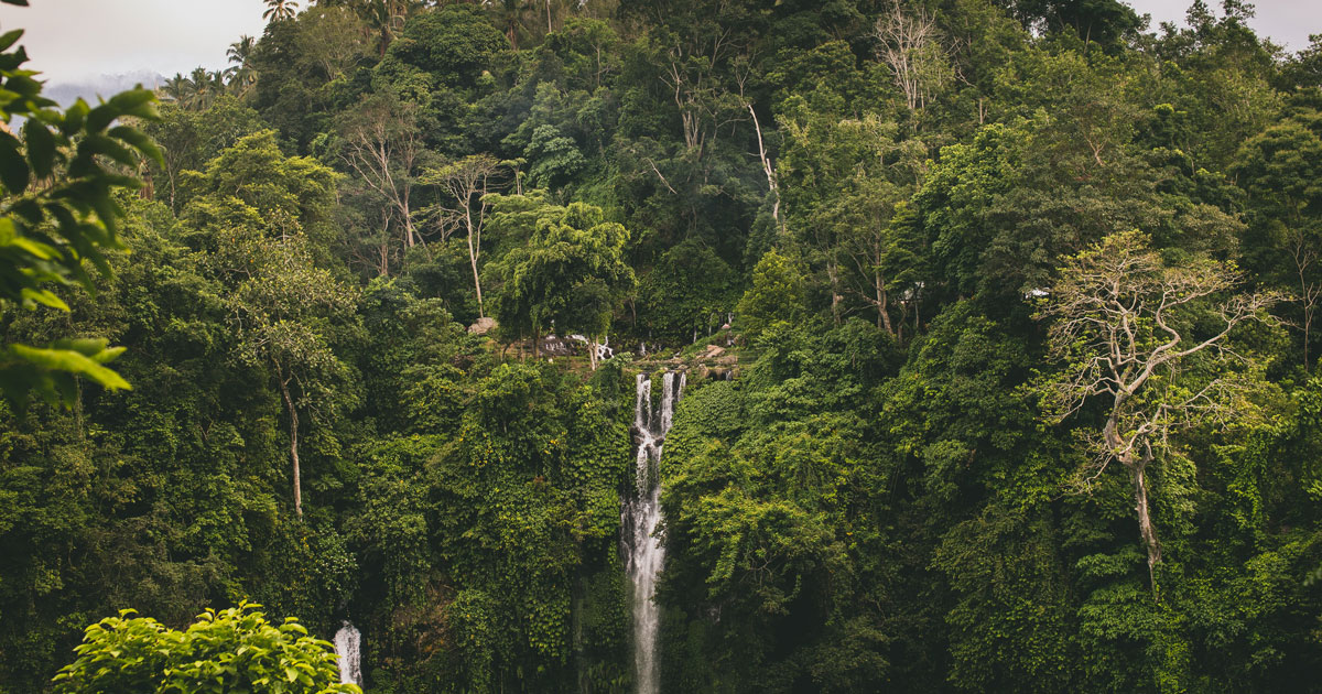 Keindahan Air Terjun Sekumpul yang megah, tersembunyi di jantung Bali dengan air jernih yang mengalir dari ketinggian