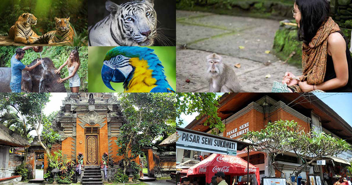 Paket Wisata Bali Zoo Ubud Tour - Private Tour Kombinasi Harga Murah