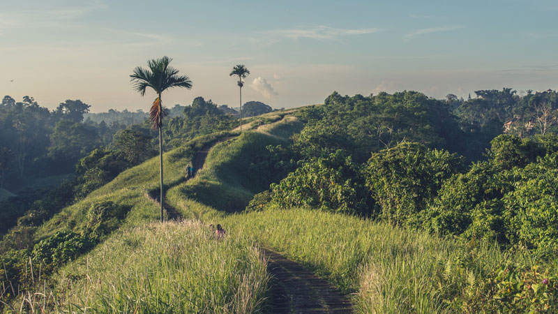 Bukit Campuhan - Tempat Wisata Ubud Bali