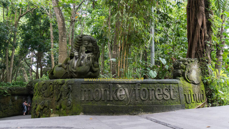 Harga Tiket Masuk Monkey Forest Ubud Bali Terbaru [2024]