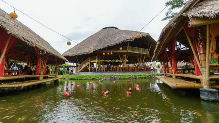 Tempat Wisata Ubud & Panduan Liburan - Wira Tour Bali