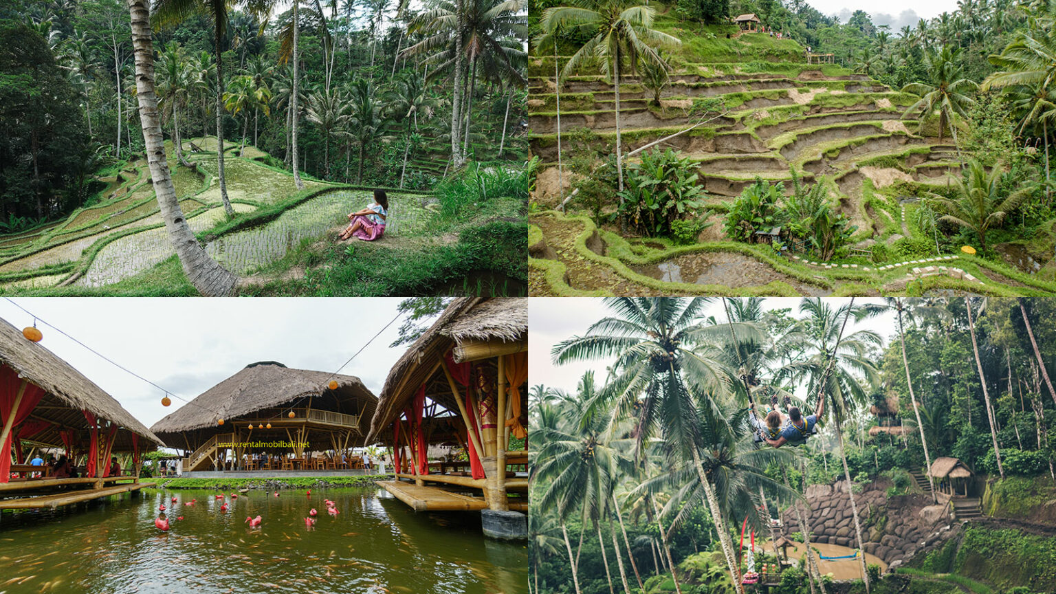 Tempat Wisata Ubud & Panduan Liburan - Wira Tour Bali