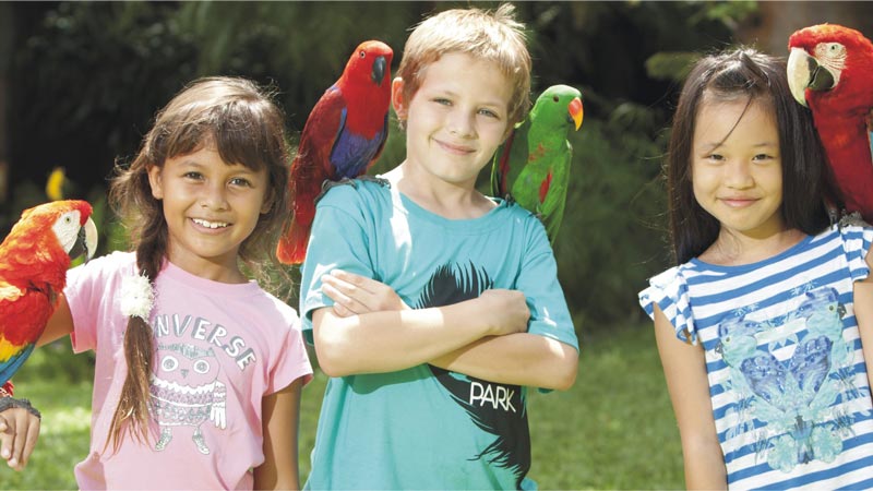 Pengalaman Interaktif Anak-anak dengan Burung di Bali Bird Park