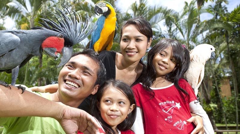 Keluarga menikmati interaksi dengan burung tropis di Bali Bird Park