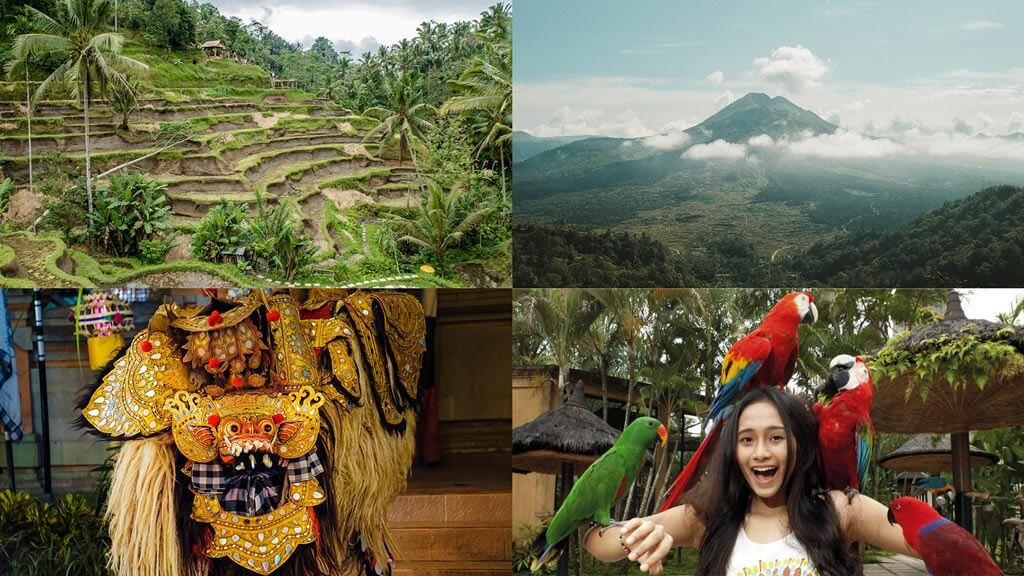 paket tour ubud kintamani