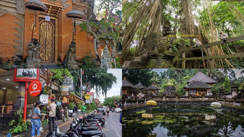 paket tour ubud 1 hari