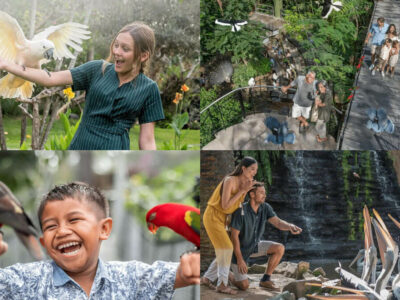 Pengunjung menikmati interaksi dengan burung di Bali Bird Park