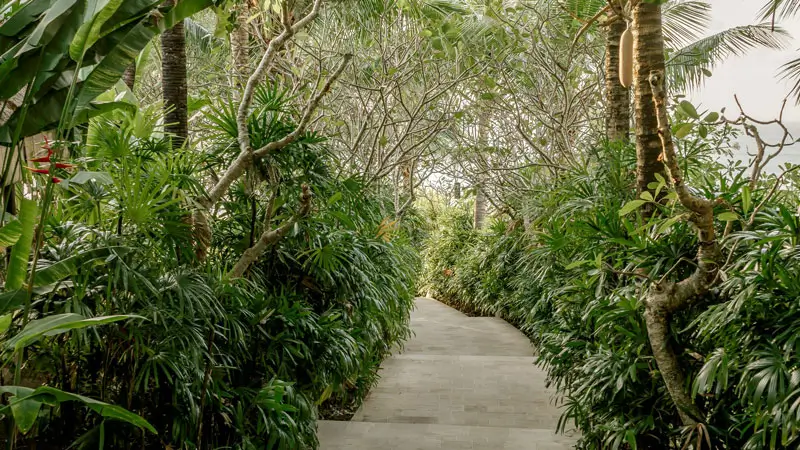 Jalan setapak di taman hotel dengan tanaman hijau dan pohon-pohon di sekitar