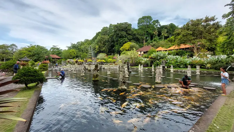 Kolam Ikan Koi Tirta Gangga