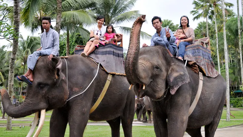 Wisatawan menikmati naik gajah di Paket Wisata Naik Gajah Kintamani