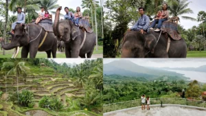 Naik gajah di Taro Elephant Safari Park, Sawah berundak Tegalalang Ubud, Pemandangan Gunung Batur dan Danau Batur di Kintamani