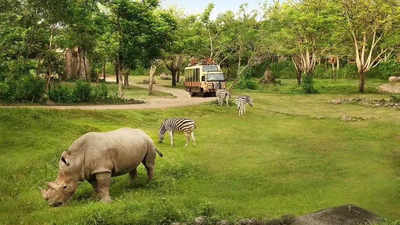 Safari Journey di Bali Safari & Marine Park, melihat badak dan zebra dari dekat