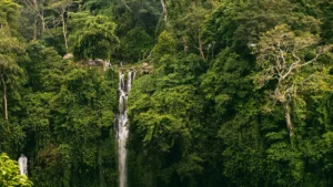 Harga tiket masuk Air Terjun Sekumpul Bali